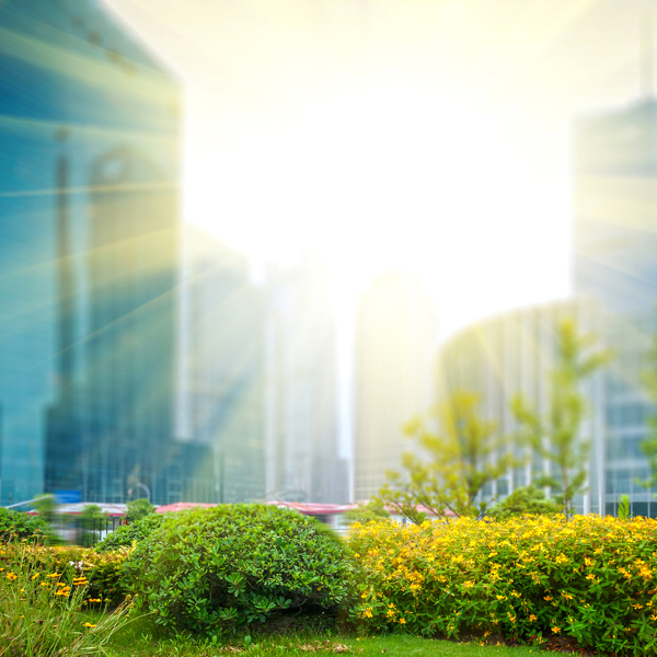 Sun shining through a cityscape