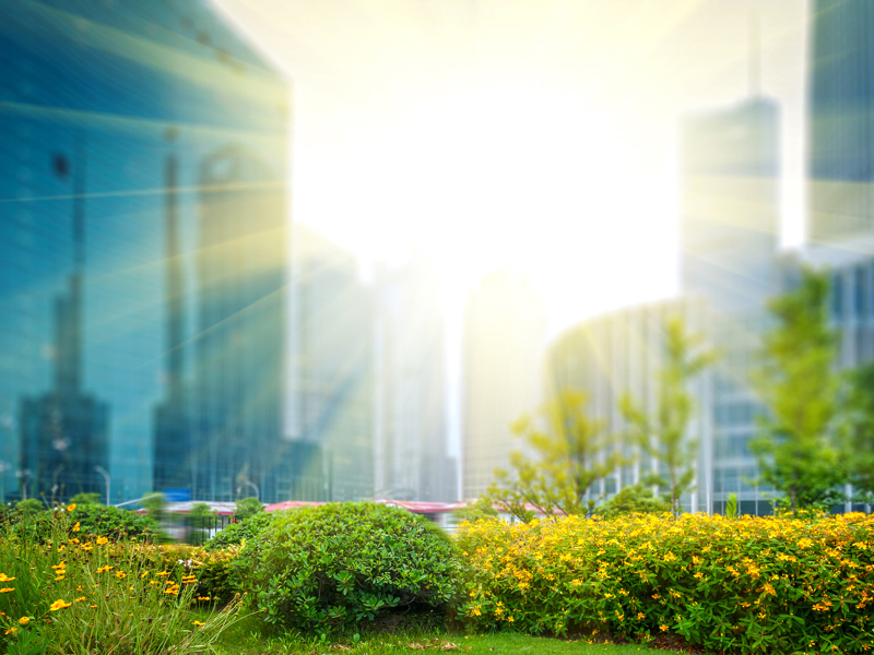 Sun shining through a cityscape