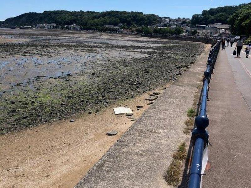 image of the beach with the tide out.
