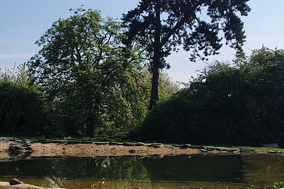 Image of a body of water in front of trees
