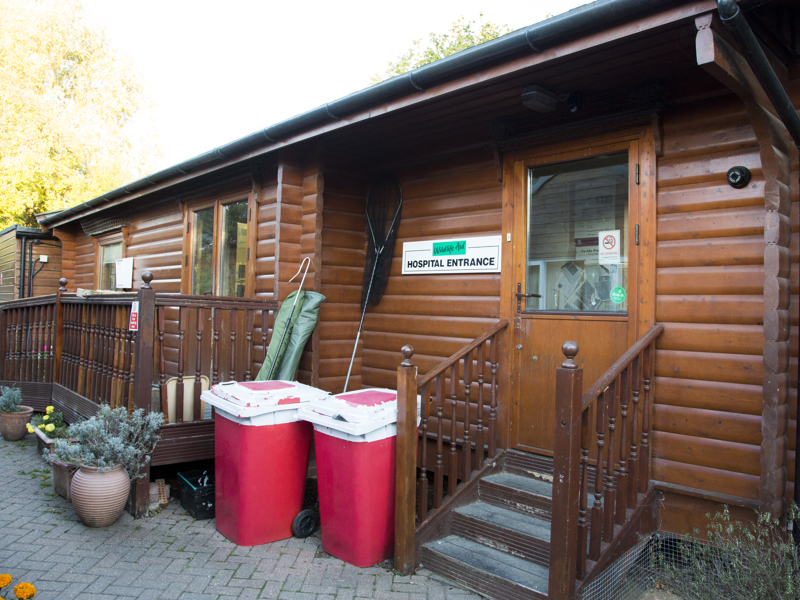 Image of a wooden building, with red bins and flower pots outside.